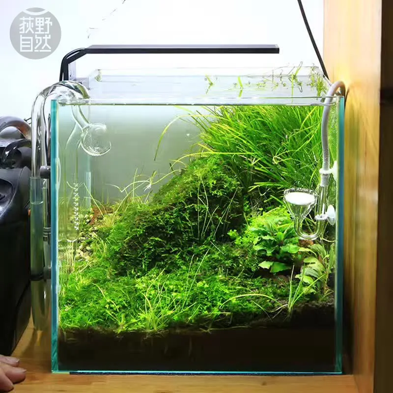Aquarium Plant Grow Light - Chihiros C 시리즈 ADA 스타일 식물