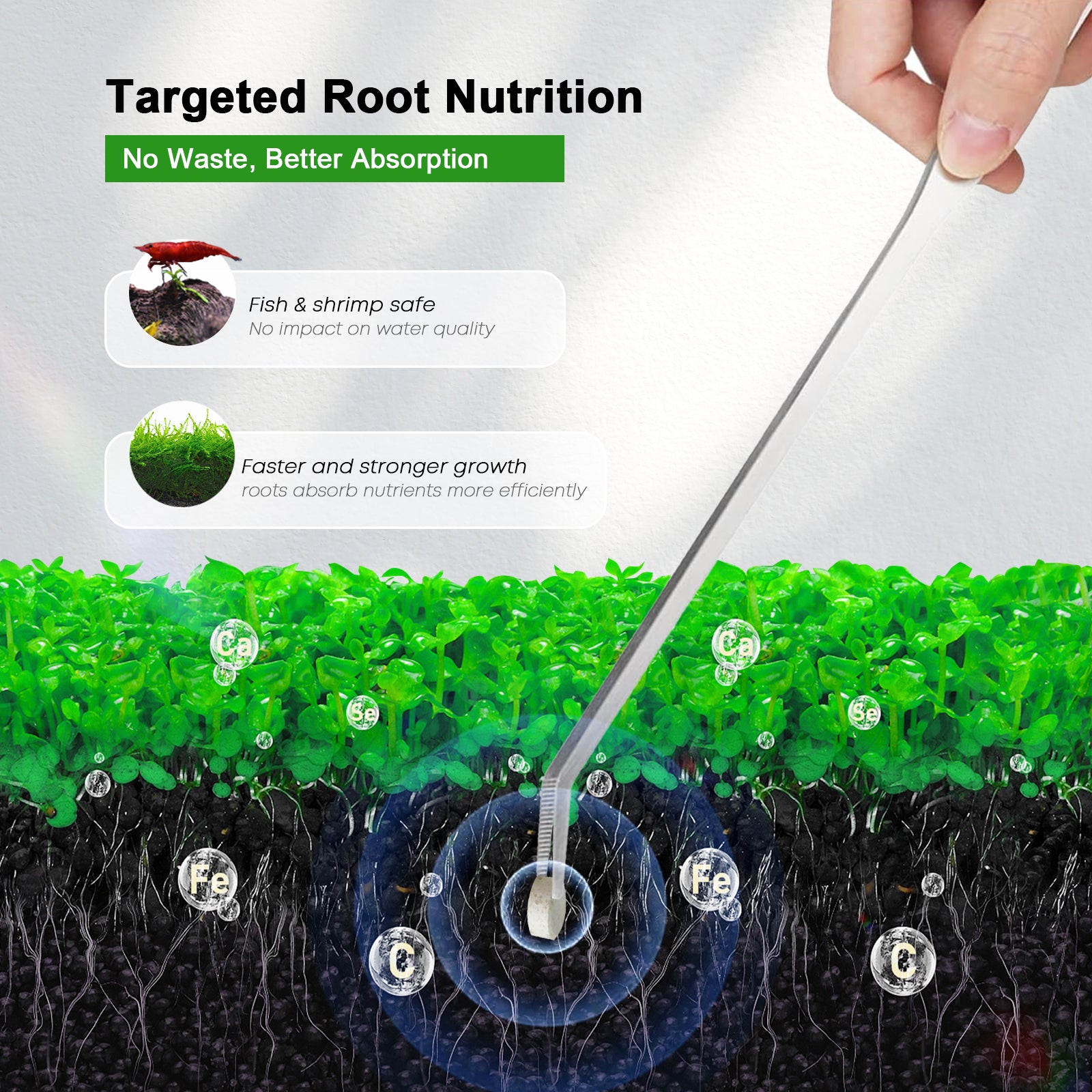 FZONE 수족관 루트탭 식물 비료 싱크블형 추가 용량 - Aquarium Plant Root Fertilizer 리뷰 및 가격