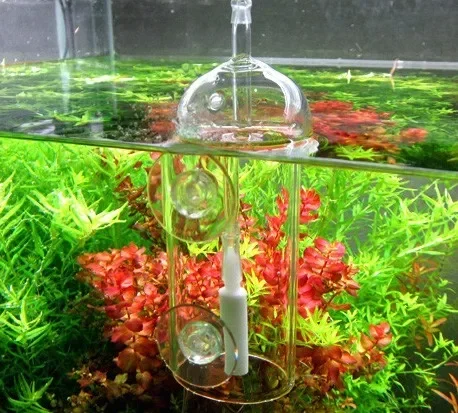 VIV Do Device 수족관 실린더 크리스탈 유리, - Planted Aquarium Parameters 리뷰 및 가격