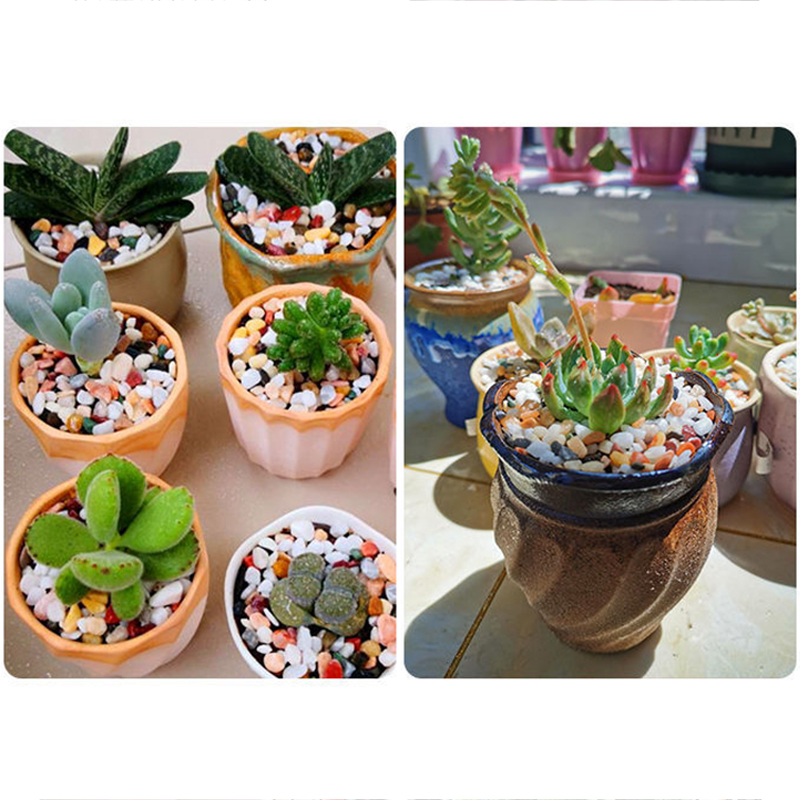 물고기 탱크 바닥 모래 DIY 액세서리 200~1000 - Aquarium Planted Sand 리뷰 및 가격
