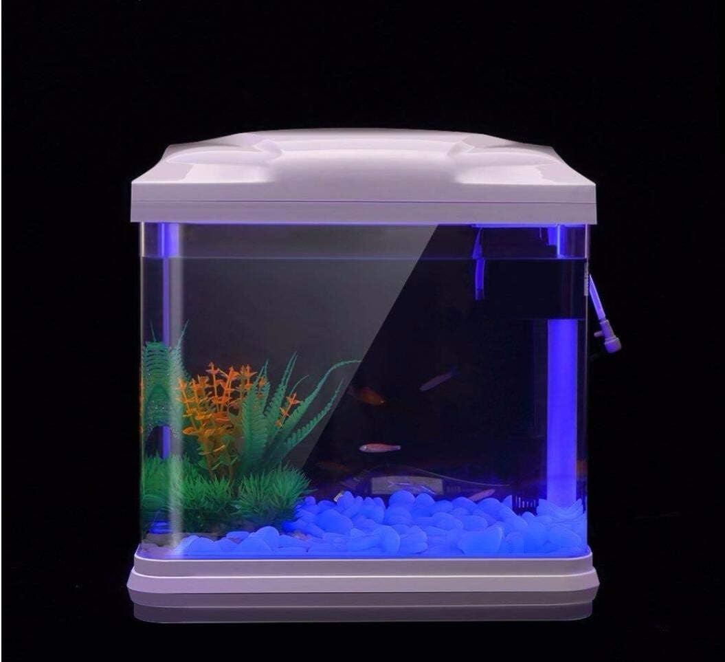 물고기 탱크 바위 정원 물고기 탱크 수족관 식물 냄비  - Planted Aquarium Parameters 리뷰 및 가격