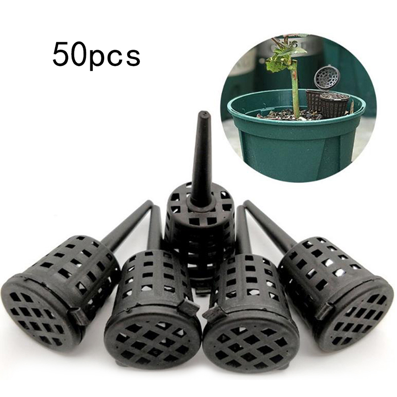 50Pcs 뚜껑 난초와 식물 비료 바구니 공원 루트 보 - Aquarium Plant Root Fertilizer 리뷰 및 가격