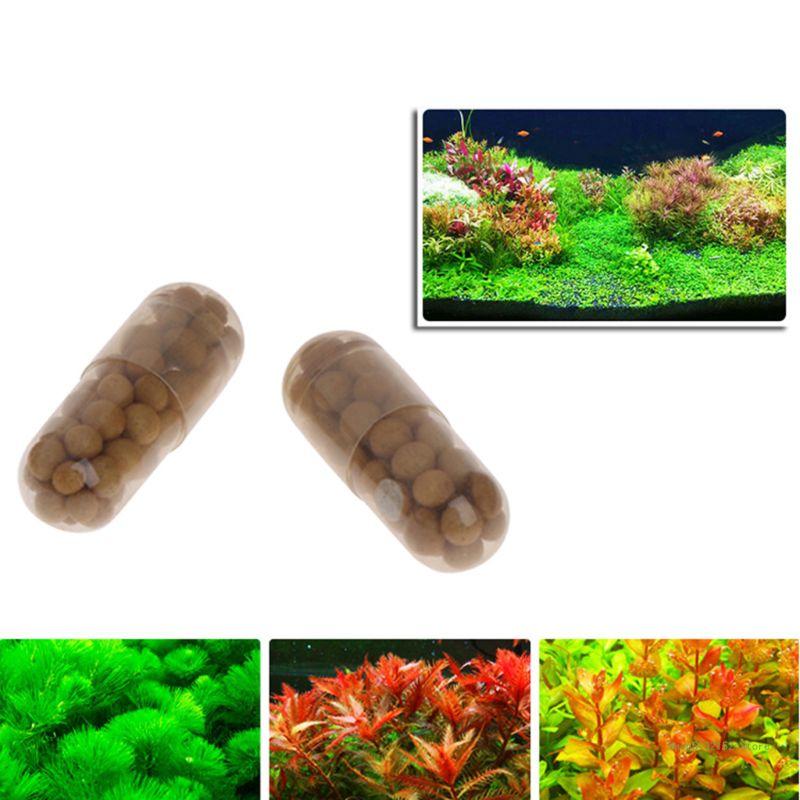 QX2E 수족관 라이브 식물 비료 뿌리 탭 수량 40  - Aquarium Plant Root Fertilizer 리뷰 및 가격