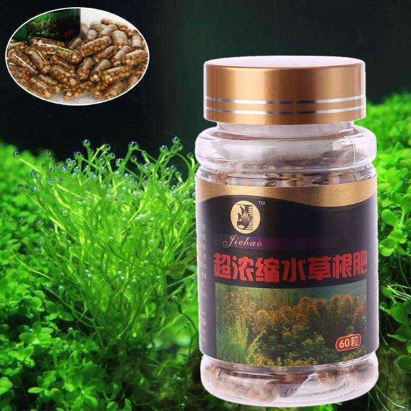 60 개 PCS 식물 뿌리 캡슐 수족관 어항 물 공장  - Aquarium Plant Root Fertilizer 리뷰 및 가격